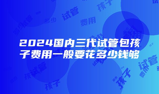 2024国内三代试管包孩子费用一般要花多少钱够