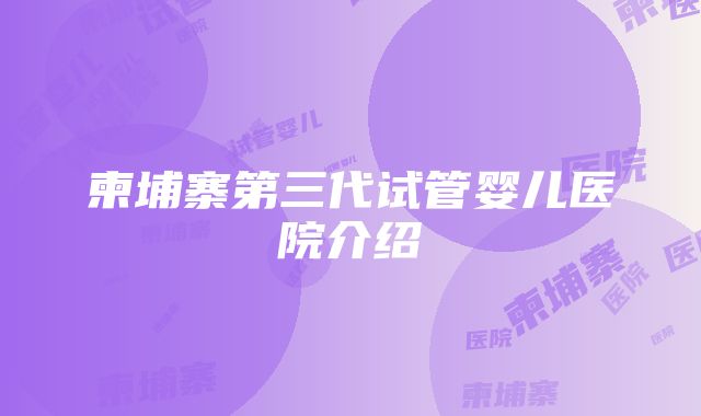 柬埔寨第三代试管婴儿医院介绍