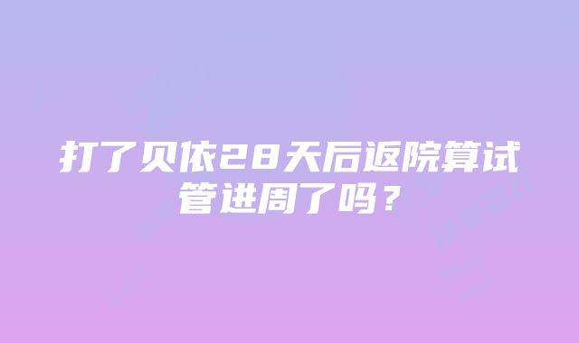 打了贝依28天后返院算试管进周了吗？