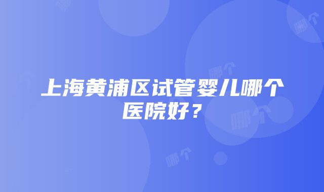 上海黄浦区试管婴儿哪个医院好？