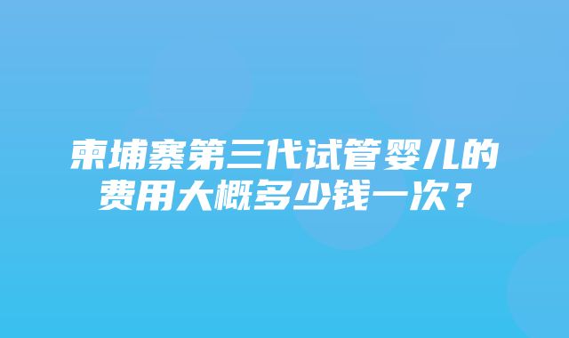 柬埔寨第三代试管婴儿的费用大概多少钱一次？