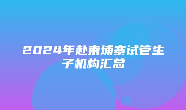 2024年赴柬埔寨试管生子机构汇总