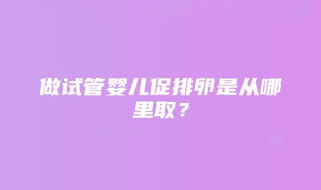 做试管婴儿促排卵是从哪里取？