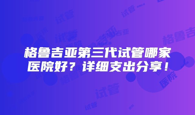 格鲁吉亚第三代试管哪家医院好？详细支出分享！