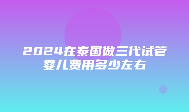 2024在泰国做三代试管婴儿费用多少左右