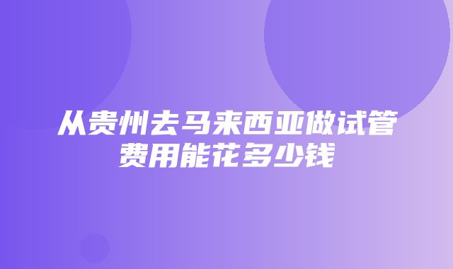 从贵州去马来西亚做试管费用能花多少钱