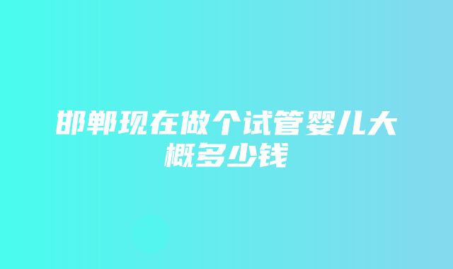 邯郸现在做个试管婴儿大概多少钱