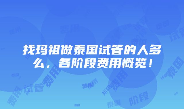 找玛祖做泰国试管的人多么，各阶段费用概览！