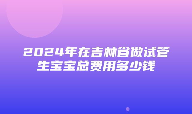 2024年在吉林省做试管生宝宝总费用多少钱