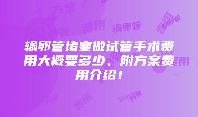 输卵管堵塞做试管手术费用大概要多少，附方案费用介绍！