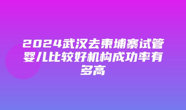 2024武汉去柬埔寨试管婴儿比较好机构成功率有多高