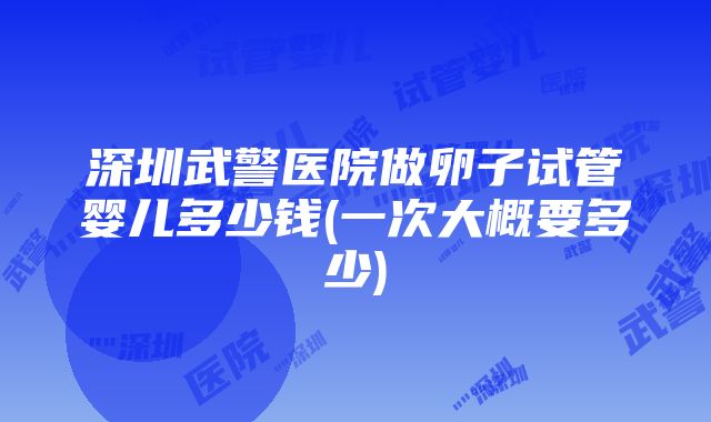 深圳武警医院做卵子试管婴儿多少钱(一次大概要多少)