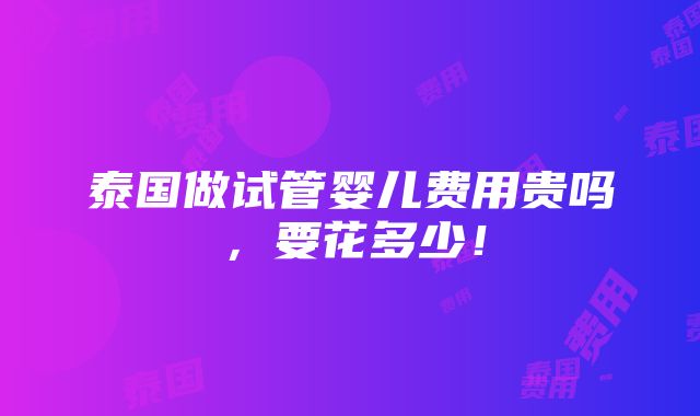 泰国做试管婴儿费用贵吗，要花多少！