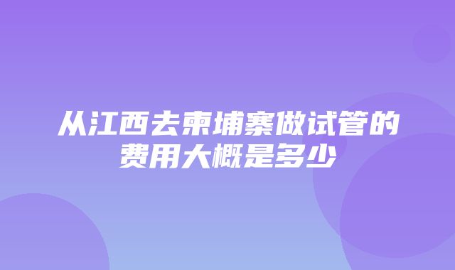 从江西去柬埔寨做试管的费用大概是多少