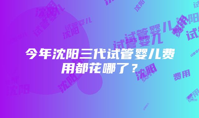 今年沈阳三代试管婴儿费用都花哪了？