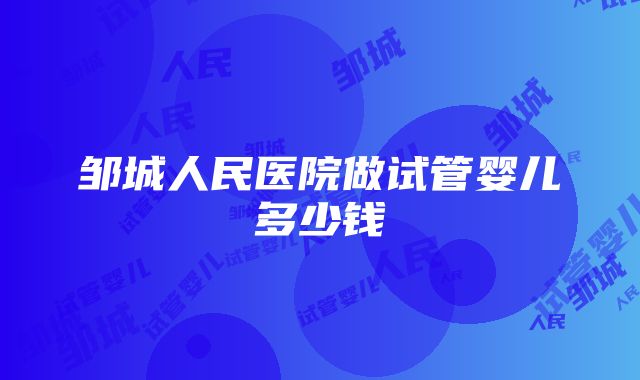 邹城人民医院做试管婴儿多少钱