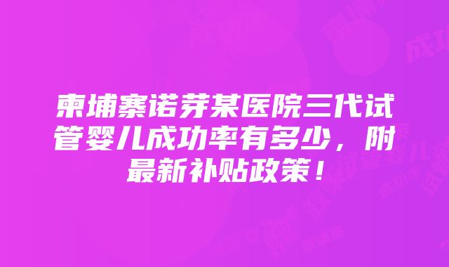 柬埔寨诺芽某医院三代试管婴儿成功率有多少，附最新补贴政策！