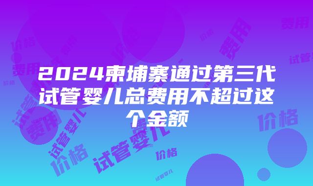 2024柬埔寨通过第三代试管婴儿总费用不超过这个金额