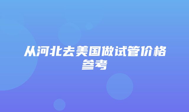 从河北去美国做试管价格参考