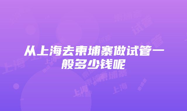 从上海去柬埔寨做试管一般多少钱呢