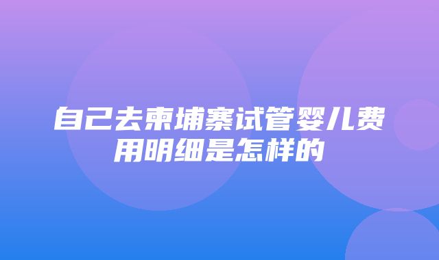 自己去柬埔寨试管婴儿费用明细是怎样的