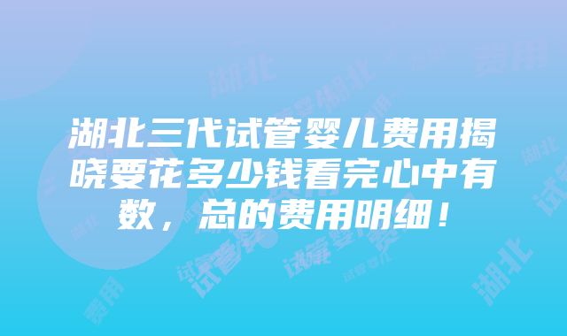 湖北三代试管婴儿费用揭晓要花多少钱看完心中有数，总的费用明细！