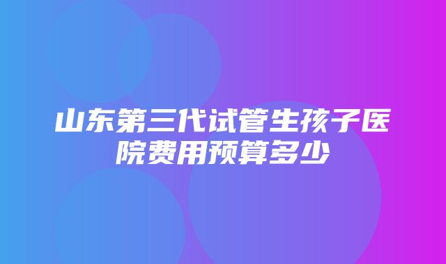 山东第三代试管生孩子医院费用预算多少