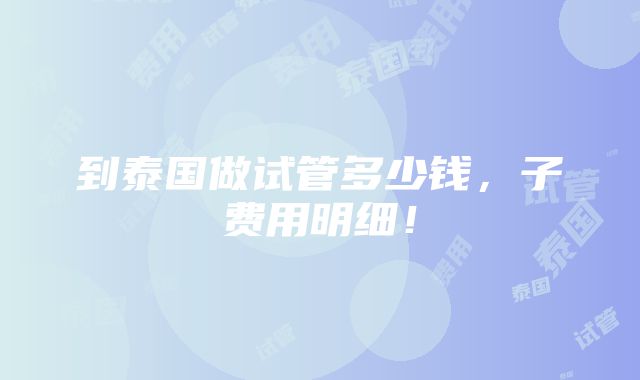 到泰国做试管多少钱，子费用明细！