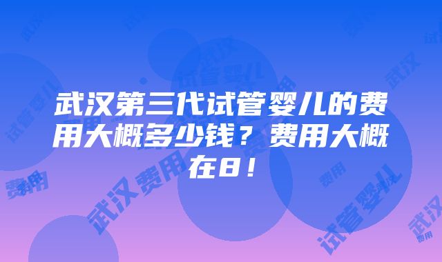 武汉第三代试管婴儿的费用大概多少钱？费用大概在8！