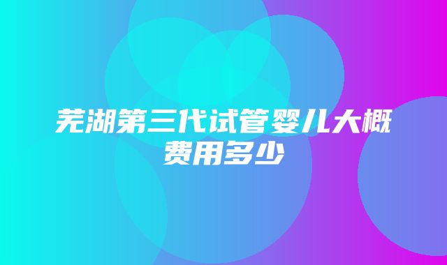 芜湖第三代试管婴儿大概费用多少