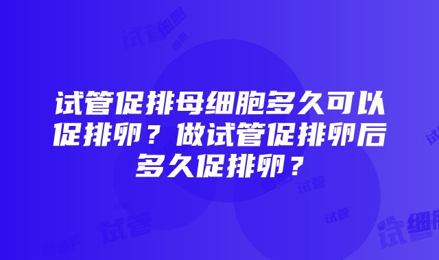 试管促排母细胞多久可以促排卵？做试管促排卵后多久促排卵？