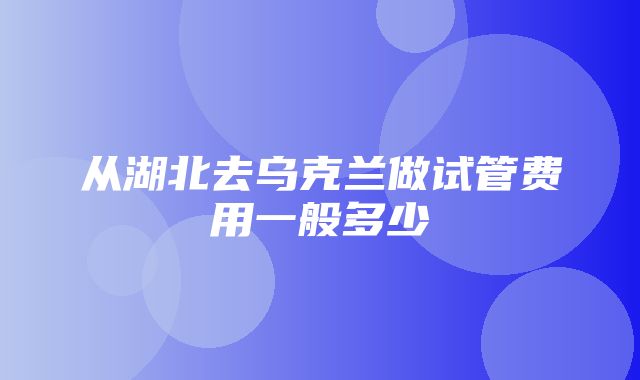 从湖北去乌克兰做试管费用一般多少