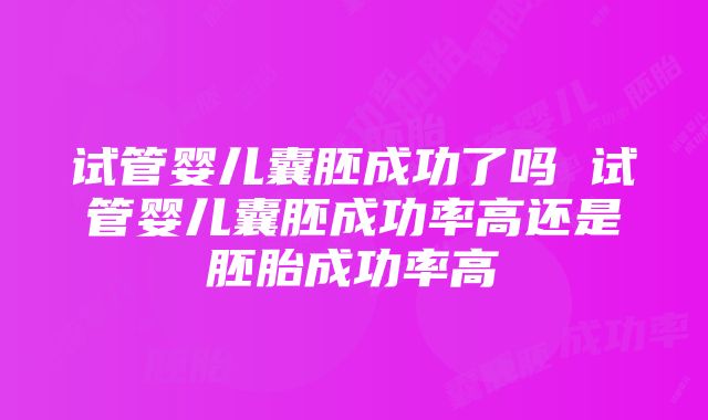 试管婴儿囊胚成功了吗 试管婴儿囊胚成功率高还是胚胎成功率高