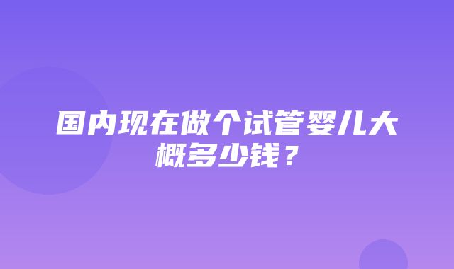 国内现在做个试管婴儿大概多少钱？