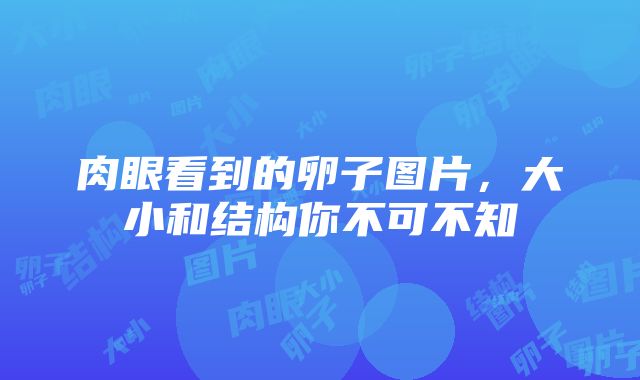 肉眼看到的卵子图片，大小和结构你不可不知