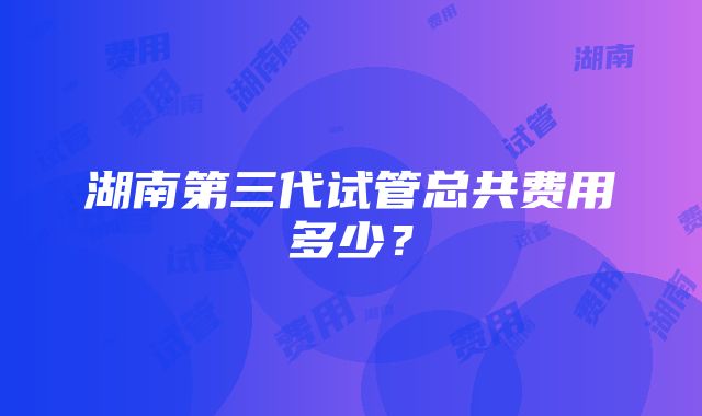 湖南第三代试管总共费用多少？