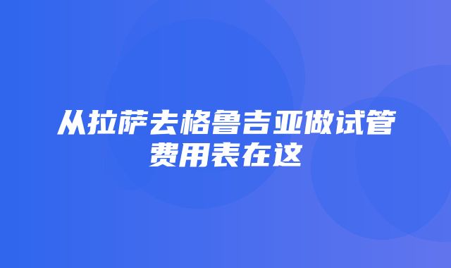 从拉萨去格鲁吉亚做试管费用表在这