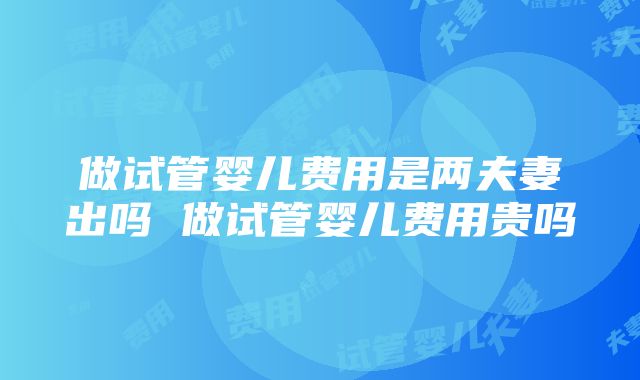 做试管婴儿费用是两夫妻出吗 做试管婴儿费用贵吗