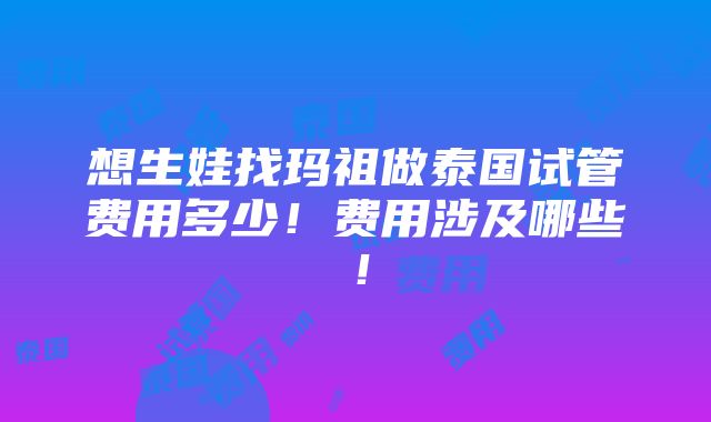 想生娃找玛祖做泰国试管费用多少！费用涉及哪些！