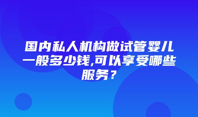 国内私人机构做试管婴儿一般多少钱,可以享受哪些服务？