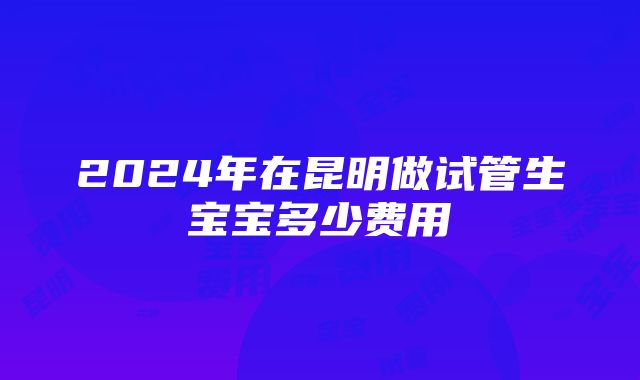 2024年在昆明做试管生宝宝多少费用