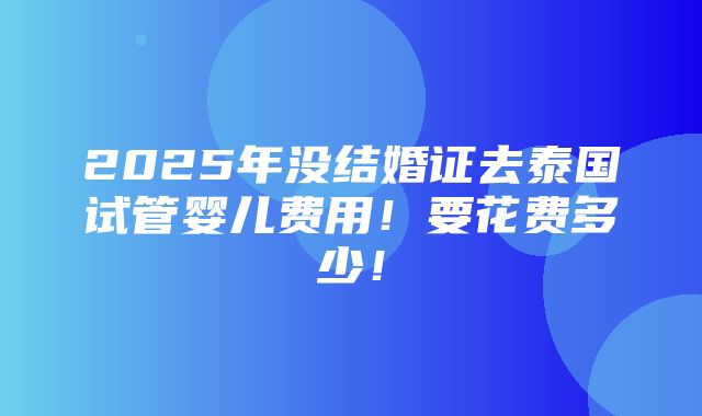 2025年没结婚证去泰国试管婴儿费用！要花费多少！