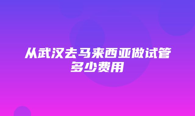 从武汉去马来西亚做试管多少费用