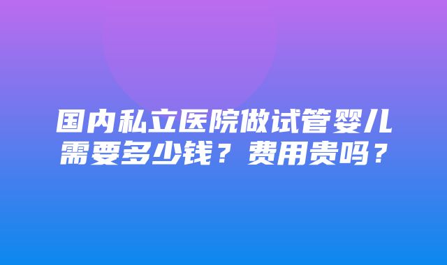 国内私立医院做试管婴儿需要多少钱？费用贵吗？