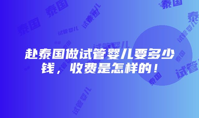 赴泰国做试管婴儿要多少钱，收费是怎样的！