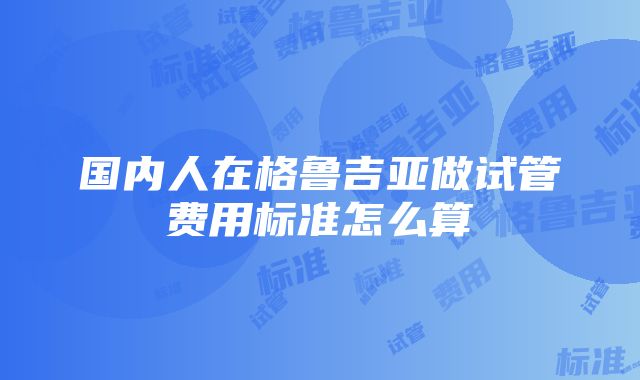 国内人在格鲁吉亚做试管费用标准怎么算