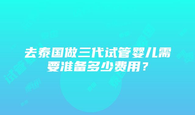 去泰国做三代试管婴儿需要准备多少费用？