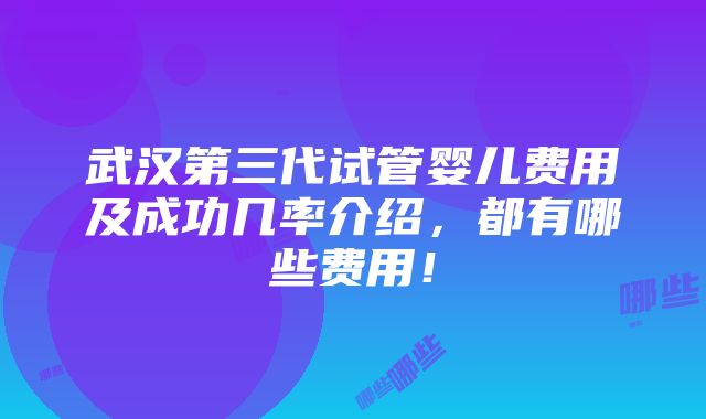 武汉第三代试管婴儿费用及成功几率介绍，都有哪些费用！