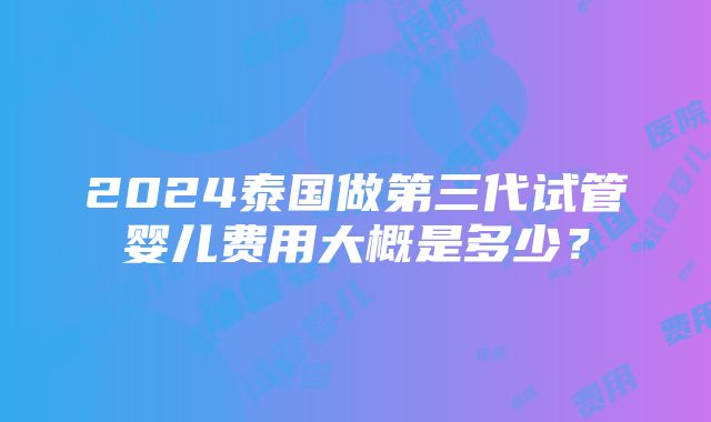 2024泰国做第三代试管婴儿费用大概是多少？