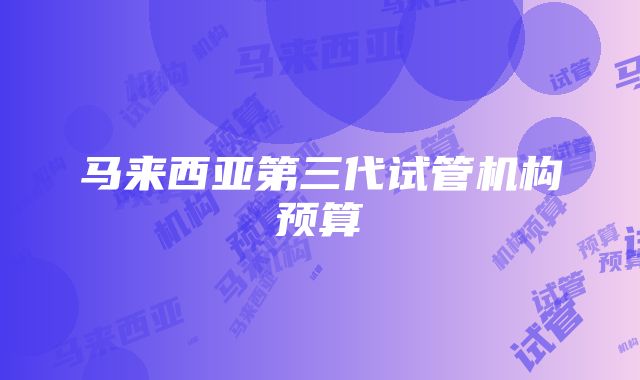 马来西亚第三代试管机构预算